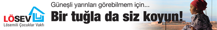 spot_img