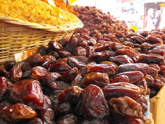 hurma-phoenix-dactylifera-13