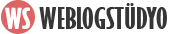 Profesyonel kurumsal web sitesi demosu Logo