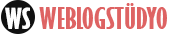 Profesyonel kurumsal web sitesi demosu Logo