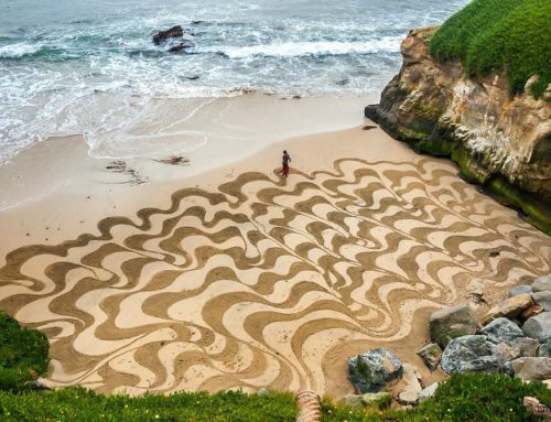 Sahildeki sanat / Andres Amador